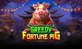 Greedy Fortune Pig