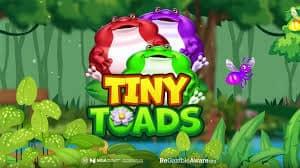 Tiny Toads